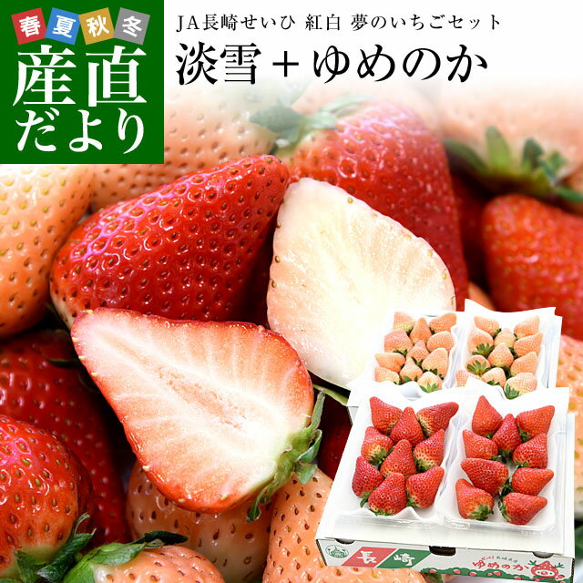 長崎県より産地直送 JA長崎せいひ　紅白 夢のいちごセット「淡雪」1箱約500g＋「ゆめのか」1箱約500g 送料無料 苺 イチゴ 白いちご 紅白いちごセット 長崎西彼農協