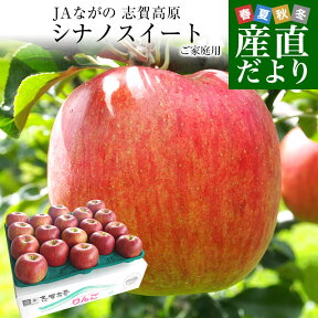 長野県より産地直送　JAながの　志賀高原のシナノスイート ご家庭用　約5キロ　(12玉から20玉)　送料無料 林檎　りんご　リンゴ