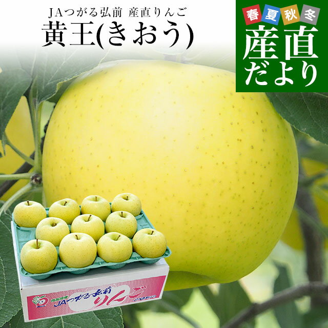 青森県より産地直送 JAつがる弘前 産直りんご 黄王(きおう) 約3キロ (9玉から13玉) 送料無料 林檎 りんご