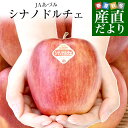 長野県産 JAあづみ 安曇野 シナノドルチェ 約3キロ (8玉から12玉)林檎 りんご 送料無料 市場発送