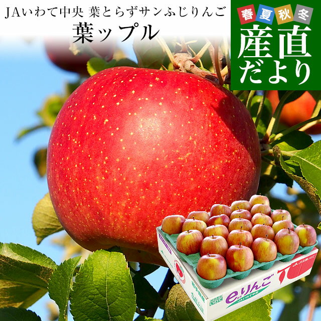 岩手県より産地直送 JAいわて中央 葉とらずサンふじりんご 葉ップル 5キロ(14玉から20玉) 林檎 リンゴ 送料無料 お歳暮 ギフトのサムネイル