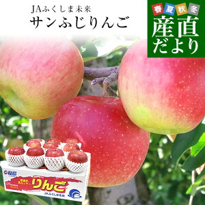 福島県より産地直送 JAふくしま未来「サンふじりんご」秀品 約2.8キロ(8玉から10玉) 送料無料 林檎 リンゴ