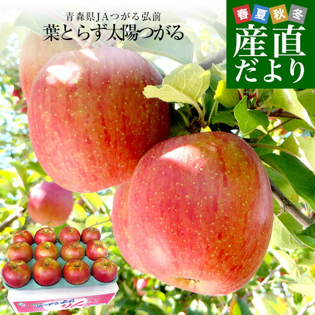 青森県より産地直送 JAつがる弘前 葉とらず太陽つがる 約3キロ(9玉から13玉)　りんご　リンゴ　林檎