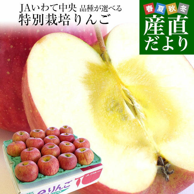 岩手県より産地直送 JAいわて中央 皮ごとまるごと！特別栽培りんご 5キロ (14玉から25玉) 林檎 リンゴ 送料無料のサムネイル