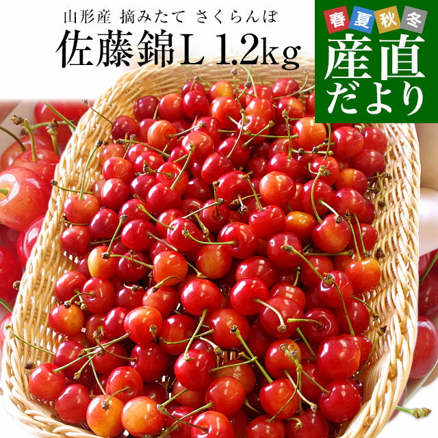 【ダイヤモンド・プラチナ会員限定クーポン配布中】山形県より産地直送 さくらんぼ...