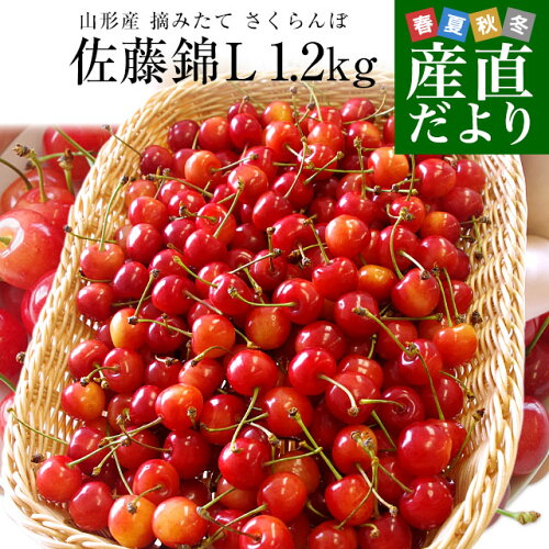 産直だよりオリジナル企画！大ボリュームさくらんぼを本場山形よりお...