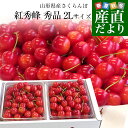 山形県より産地直送 さくらんぼ「紅秀峰」秀品 2Lサイズ 約1キロ(500g×2) 送料無料 クール便 サクランボ 桜桃