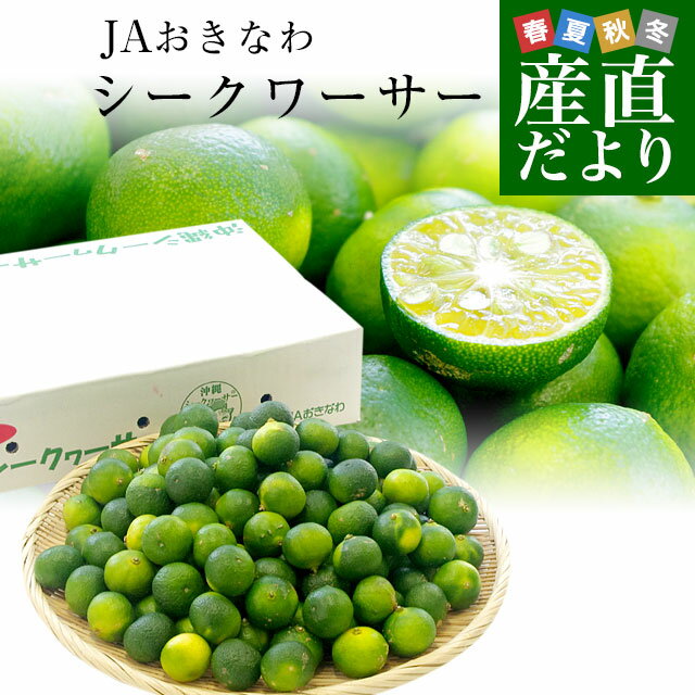 沖縄県から産地直送 JAおきなわ シークワーサー 約2キロ (約100玉前後) シークァーサー 送料無料のサムネイル