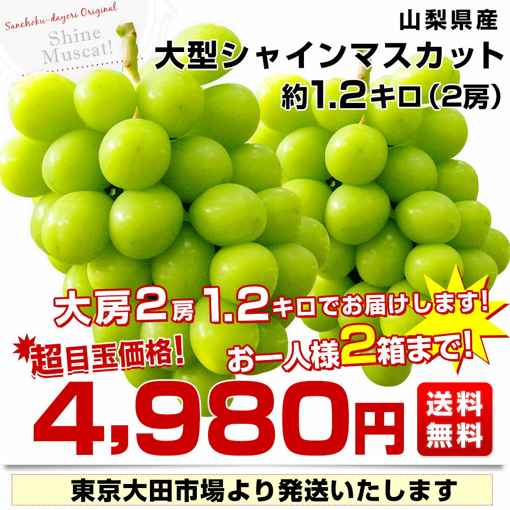 【ダイヤモンド・プラチナ会員限定クーポン配布中】山梨県産　JAふえふき 大型シャインマスカット 約1.2キロ（2房）送料無料 ぶどう ブドウ 種なしぶどう クール便発送 お中元 ギフト 3