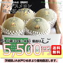 茨城県より産地直送 JA水戸ひぬま アンデスメロン 優品以上 4Lから3L 5キロ箱 (3玉から4玉) 送料無料 めろん