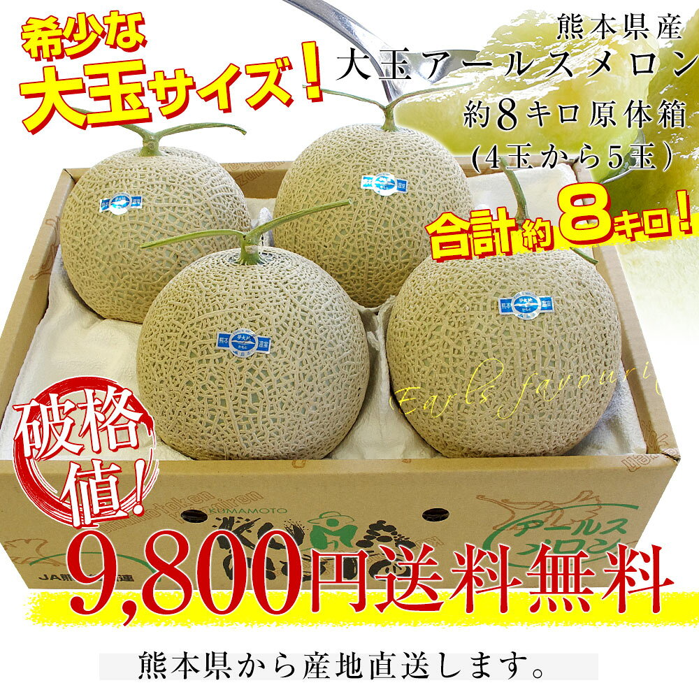 熊本県から産地直送 大玉アールスメロン　約8キロ原体箱（4玉から5玉）送料無料 め...