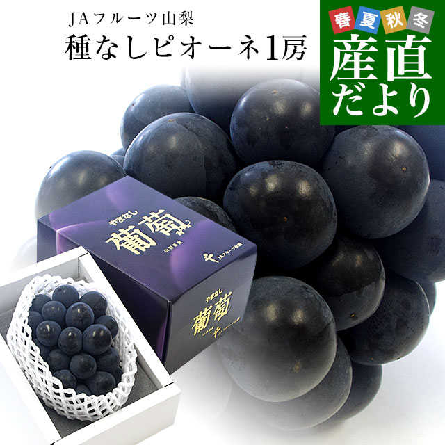 山梨県より産地直送 JAフルーツ山梨 種なしピオーネ 秀品 大房1房入り 化粧箱 (約650g ×1房) 送料無料 葡萄 ぶどう お中元 夏ギフト