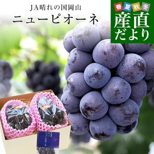 岡山県産 JA晴れの国岡山 ニューピオーネ 青秀品以上 約1.2キロ(600g×2房)　送料無料 ブドウ 葡萄 種なしぶどう ピオーネ 黒ぶどう ※クール便