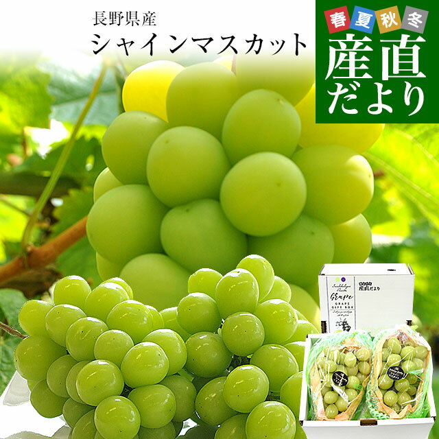 【ふるさと納税】岡山県産　桃太郎ぶどう（700g以上）1房入り（WFH）