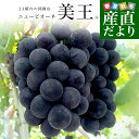 岡山県産 JA晴れの国岡山 びほくエリア ニューピオーネ 天空の実り「美王(R)」約1.2キロ(2房) 送料無料 ブドウ 葡萄 種なしぶどう ※クール便