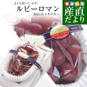 石川県産 JA全農いしかわ ルビーロマン 秀品1房 1キロ以上 化粧箱入り 送料無料 葡萄 ぶどう ブドウ ※クール便