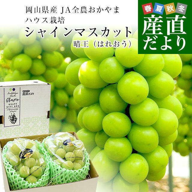 Rakuten - 岡山県産　JA全農おかやま 高級ハウス栽培 シャインマスカット 晴王 青秀品 約1.2キロ(600g×2房) 送料無料 葡萄 ぶどう ブドウ クール便