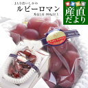 石川県産 JA全農いしかわ ルビーロマン 秀品 特大1房 800g以上 化粧箱入り 葡萄 ぶどう 送料無料 ※クール便