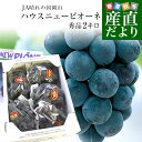 商品画像3