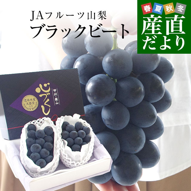 山梨県より産地直送 JAフルーツ山梨 菱山支所 ひしやまのブラックビート 最高級等級：心づくし 約1.3キロ(650g×2房) 送料無料 ※クール便のサムネイル