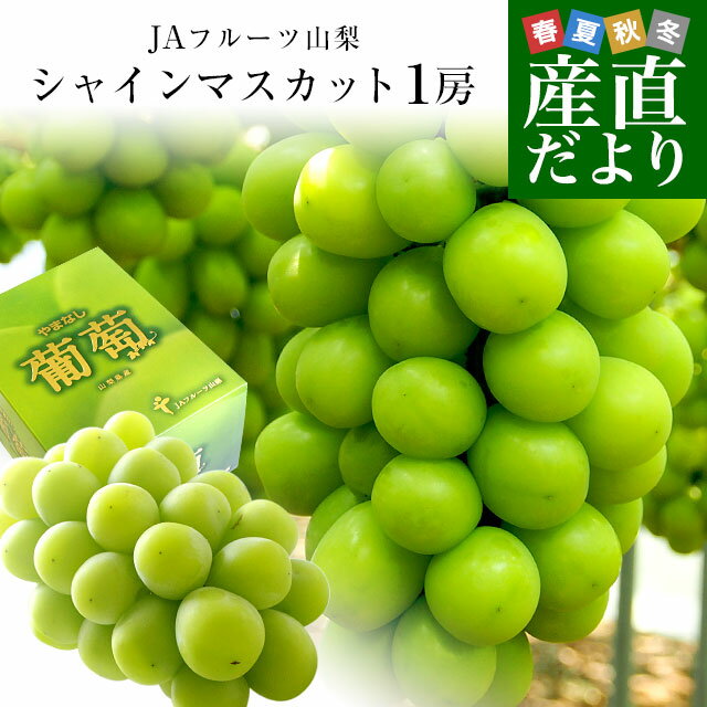 山梨県より産地直送 JAフルーツ山梨 シャインマスカット 秀品 大房1房入り 化粧箱 (約650g×1房) 送料無料 葡萄 ぶどう　 お中元 ギフトのサムネイル