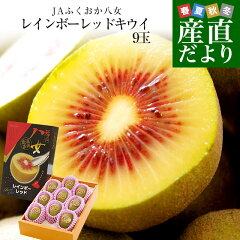 https://thumbnail.image.rakuten.co.jp/@0_mall/sanchokudayori/cabinet/fruits13/kiwi02_0.jpg