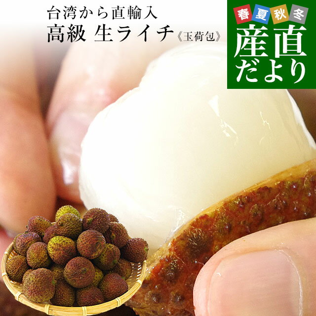 台湾から直輸入 高級 生ライチ 《玉荷包(ぎょっかほう)》 約800g(25玉から35玉前後) 送料無料 トロピカルフルーツ ※クール便のサムネイル