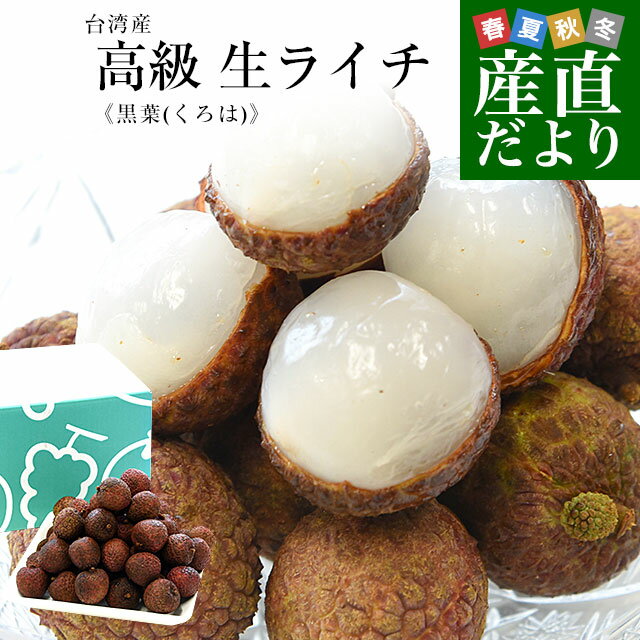 台湾産 高級 生ライチ 《黒葉(くろは)》 約900g(450g×2入り) 送料無料 トロピカルフルーツ ※クール便