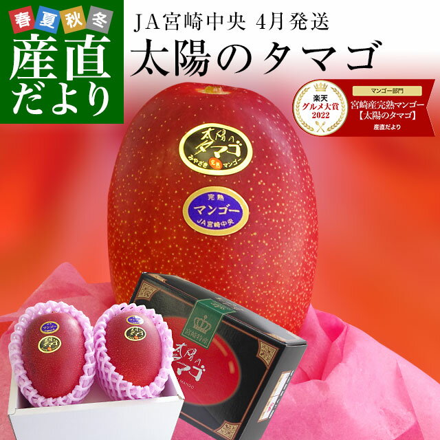 宮崎県より産地直送 JA宮崎中央 完熟マンゴー 太陽のタマゴ 希少な4月発送品 2L×2玉 (350gから459g×2玉) 送料無料 宮崎マンゴー 太陽のたまご