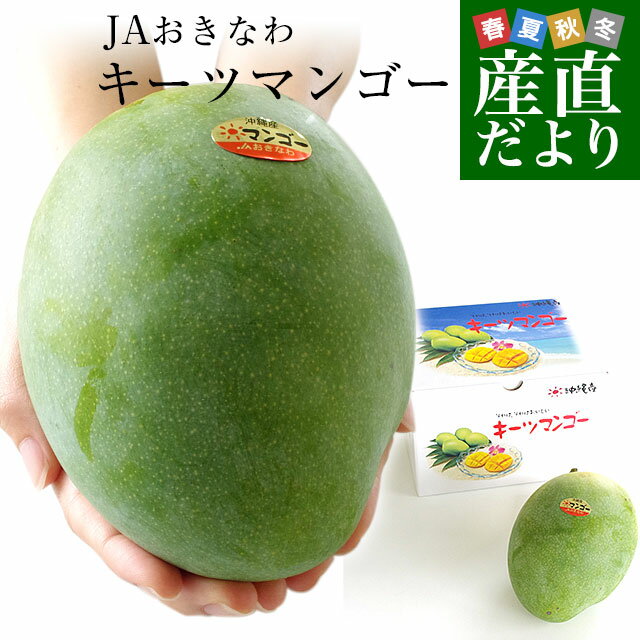 マンゴー 送料無料 沖縄県より産地直送 JAおきなわ キーツマンゴー 約800g 化粧箱 まんごー 送料無料