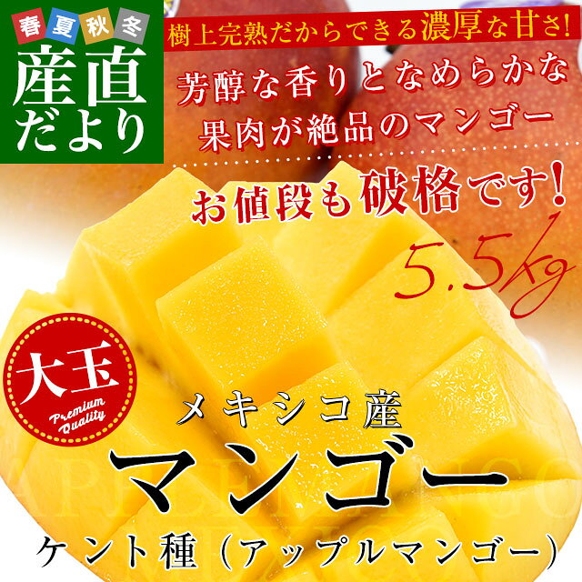 メキシコ産 アップルマンゴー (ケント種) 約5.5キロ原体箱 (12玉から14玉入り) 送料無料 クール便 まんごー マンゴー sanchokudayori-10005427 産直だより サンプル画像2