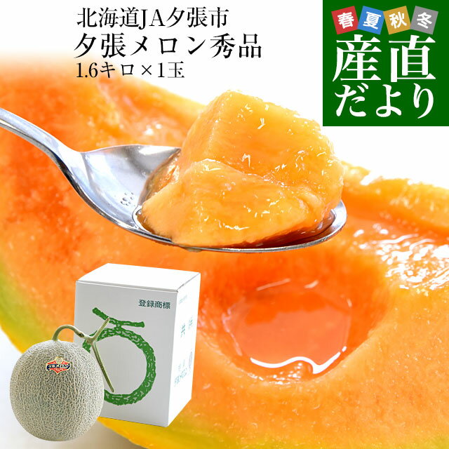 メロン 北海道より産地直送 JA夕張市 夕張メロン 秀品 1玉(1.6キロ×1玉) 送料無料ゆうばり 夕張キング めろん