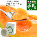 北海道より産地直送 JA夕張市 夕張メロン 秀品 1玉(1.6キロ×1玉) 送料無料ゆうばり 夕張キング めろん ギフト お中元 御中元 夏ギフト のし対応可
