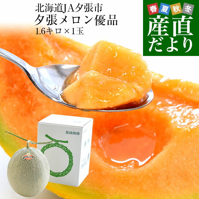 メロン 北海道より産地直送 JA夕張市 夕張メロン 優品 1玉(1.6キロ×1玉) 送料無料ゆうばり 夕張キング めろん