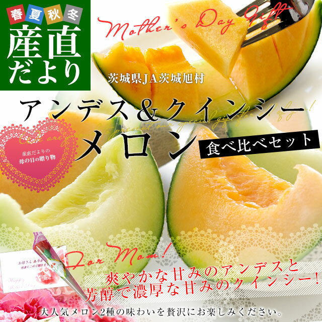 【母の日ギフト】茨城県産 JA茨城旭村 アンデスメロン＆クインシーメロン 秀品 2玉セット(合計約2キロ) 2Lサイズ 送料無料 メロンセット