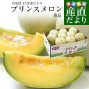 茨城県産 JA常総ひかり プリンスメロン 秀品 5キロ前後(8玉から9玉入り) 送料無料 メロン めろん 市場発送