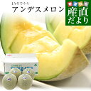 山形県産 JAそでうら アンデスメロン 優品以上 大玉3Lサイズ 約5キロ(4玉入り) 送料無料 メロン めろん ギフト 夏ギフト お中元 御中元