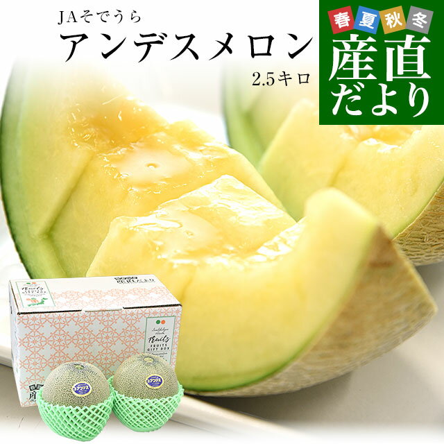 山形県 JAそでうら アンデスメロン 優品以上 大玉3Lサイズ 約2.5キロ（2玉入り） 送料無料 メロン めろん 青肉メロンのサムネイル