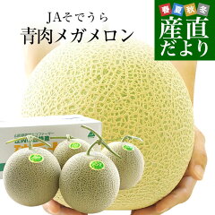 https://thumbnail.image.rakuten.co.jp/@0_mall/sanchokudayori/cabinet/fruits13/melon93_0.jpg