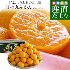 https://thumbnail.image.rakuten.co.jp/@0_mall/sanchokudayori/cabinet/fruits13/orange151_0.jpg