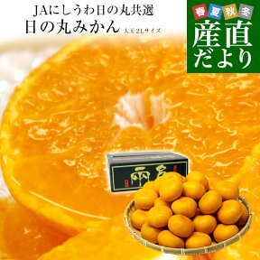 愛媛県産 JAにしうわ 日の丸みかん 千両 2Lサイズ 約4.5キロ　(※MまたはLサイズでのお届けになることもございます。) 　蜜柑 ミカン 送料無料