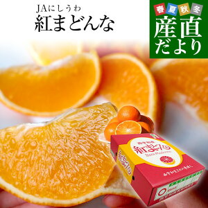 愛媛県より産地直送 JAにしうわ 紅まどんな 2LからLサイズ 3キロ(12玉から15玉) オレンジ おれんじ 送料無料　お歳暮 御歳暮