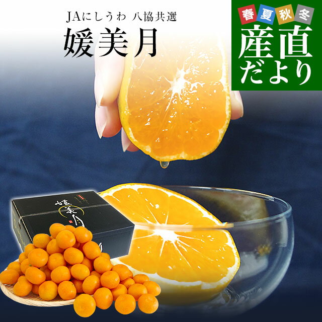 愛媛県より産地直送 JAにしうわ 西宇和プレミアムみかん「媛美月」小玉 SSサイズ 5キロ(80玉前後) 送料無料 蜜柑 ミカン ひめみづきのサムネイル