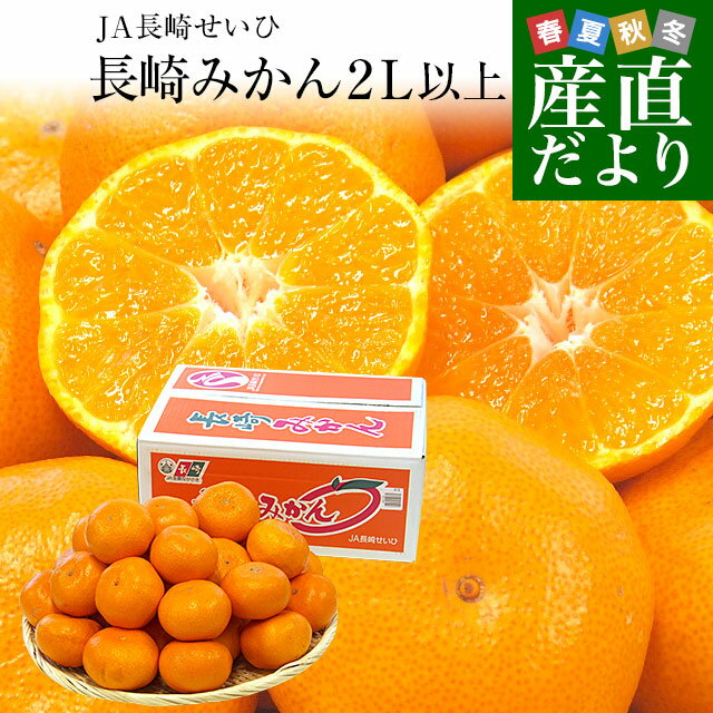 長崎県より産地直送 JA長崎せいひ 長崎みかん 2L以上の大玉 5キロ（20玉から35玉前後） 蜜柑 ミカン　送料無料　御歳暮 お歳暮