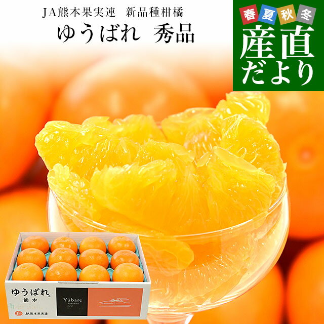 熊本県産 JA熊本果実連 新品種柑橘 ゆうばれ 秀品 約3キロ （8玉から15玉）送料無料 柑橘 みかん オレンジのサムネイル
