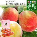 和歌山県より産地直送 JA紀の里 紀の里の桃 赤秀品 1.8キロ (6玉から8玉) 送料無料 桃 もも