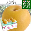 栃木県より産地直送 JAうつのみや 栃木県オリジナル品種 にっこり梨 5キロ (5玉から6玉) 送料無料 山口果樹園・島田梨園他 なし 梨 ナシ