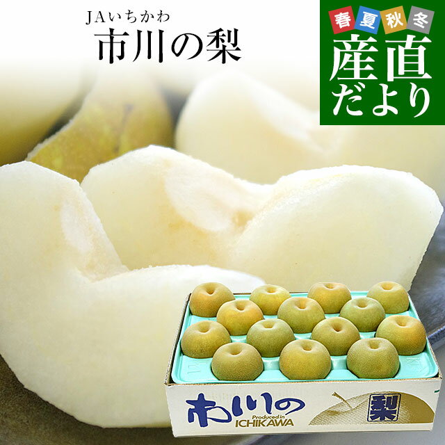 千葉県産 JAいちかわ 市川の梨 （柏井または市川中央支部）優品以上 約5キロ 大玉（12玉から14玉） 送料無料 梨 なし ナシのサムネイル