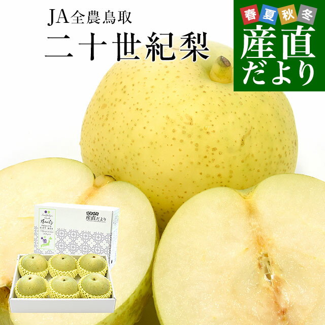 鳥取県産 JA全農鳥取 二十世紀梨 約2キロ （5玉から6玉入り）大玉　送料無料 なし青梨のサムネイル