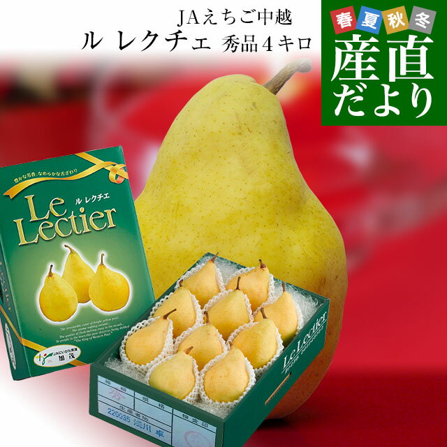 新潟県より産地直送 JAえちご中越 ル レクチェ 秀品 4キロ(8玉から12玉) 洋ナシ 洋梨 ル・レクチェ 冬ギフト 御歳暮 送料無料のサムネイル